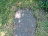 image of grave number 354047